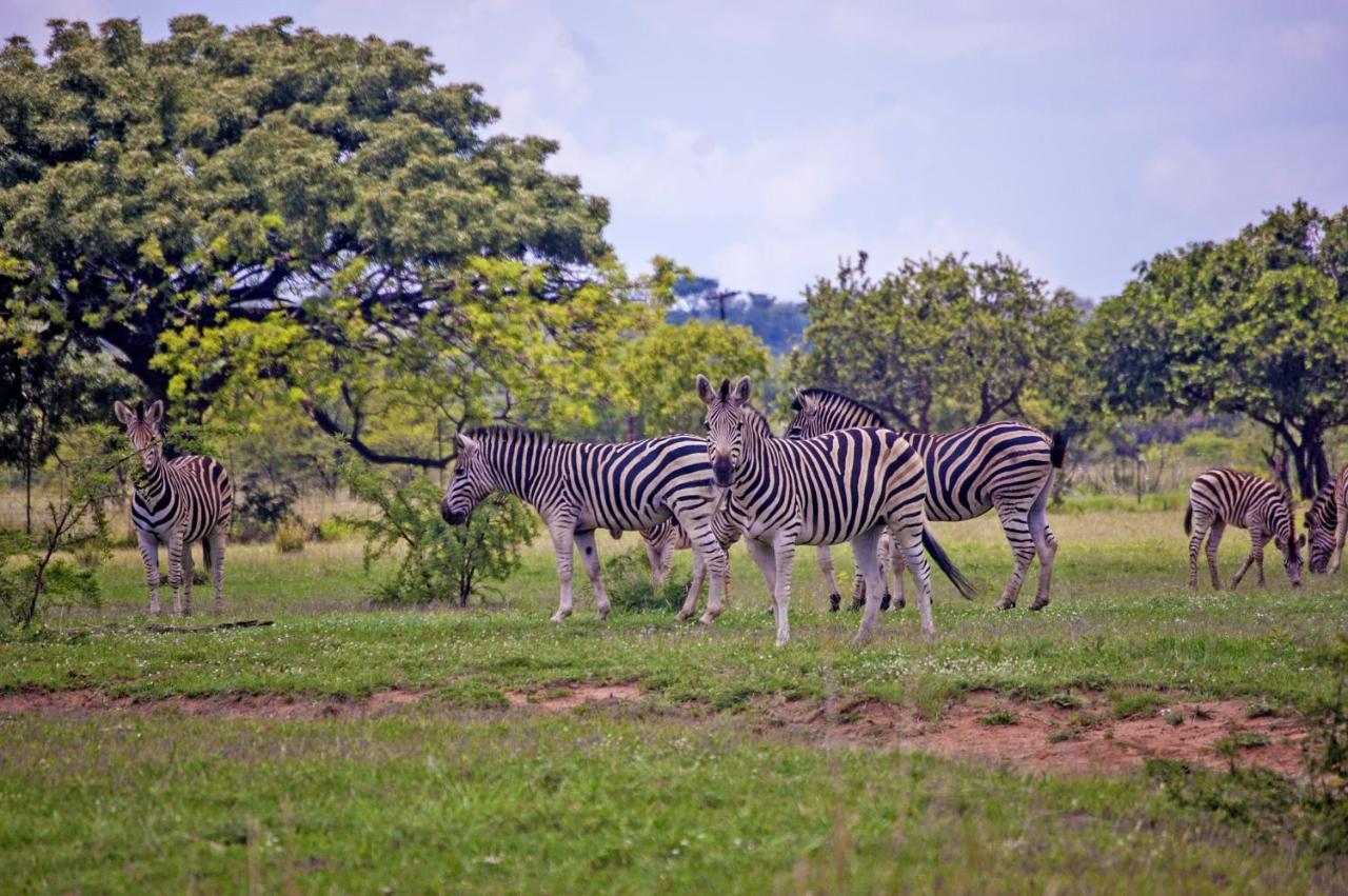 Kedar Heritage Lodge, Conference Centre & Spa Phokeng Bagian luar foto