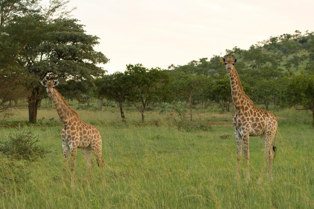 Kedar Heritage Lodge, Conference Centre & Spa Phokeng Bagian luar foto